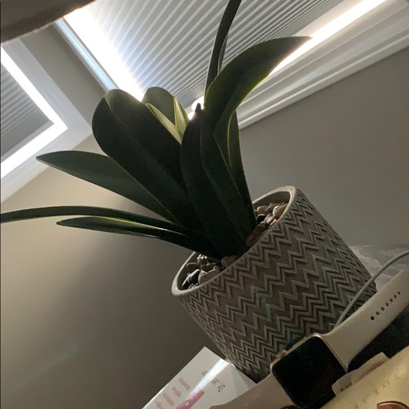kelliedb